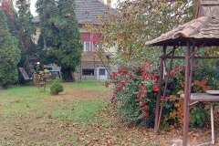 20221023_141638-kisebb